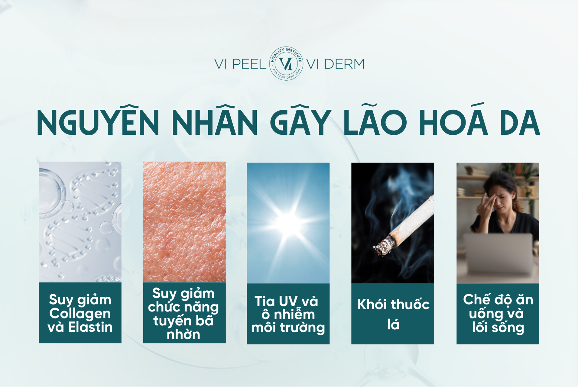 Nguyên nhân gây lão hoá da